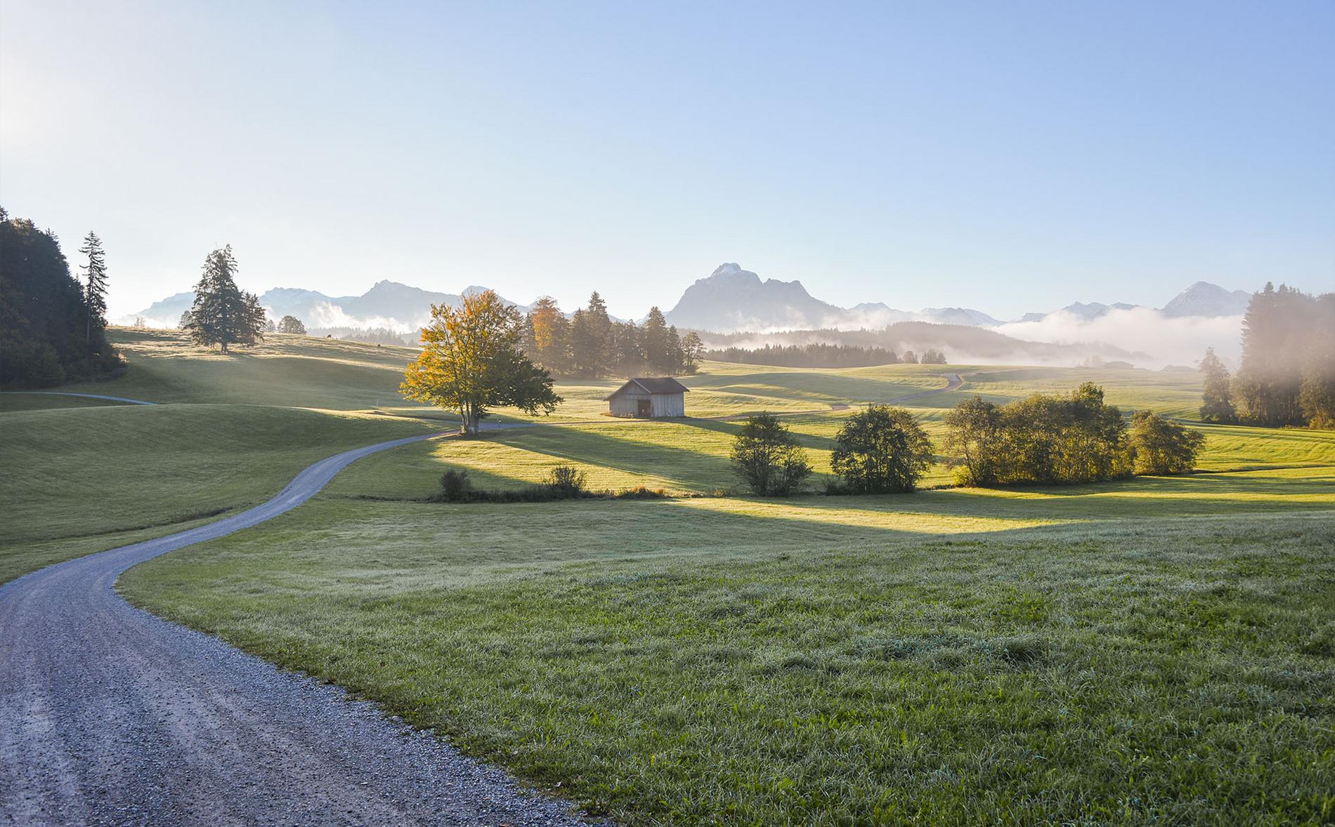 Morgenstimmung im Allgäu bei Hopferwald mit Wiesen und Alpenblick