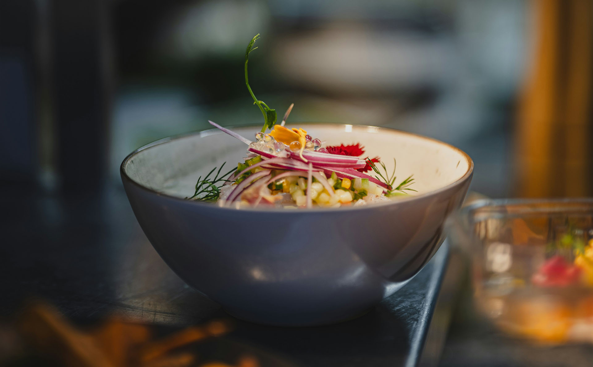 Kreativ angerichtete Vorspeise mit Gemüse und Kräutern