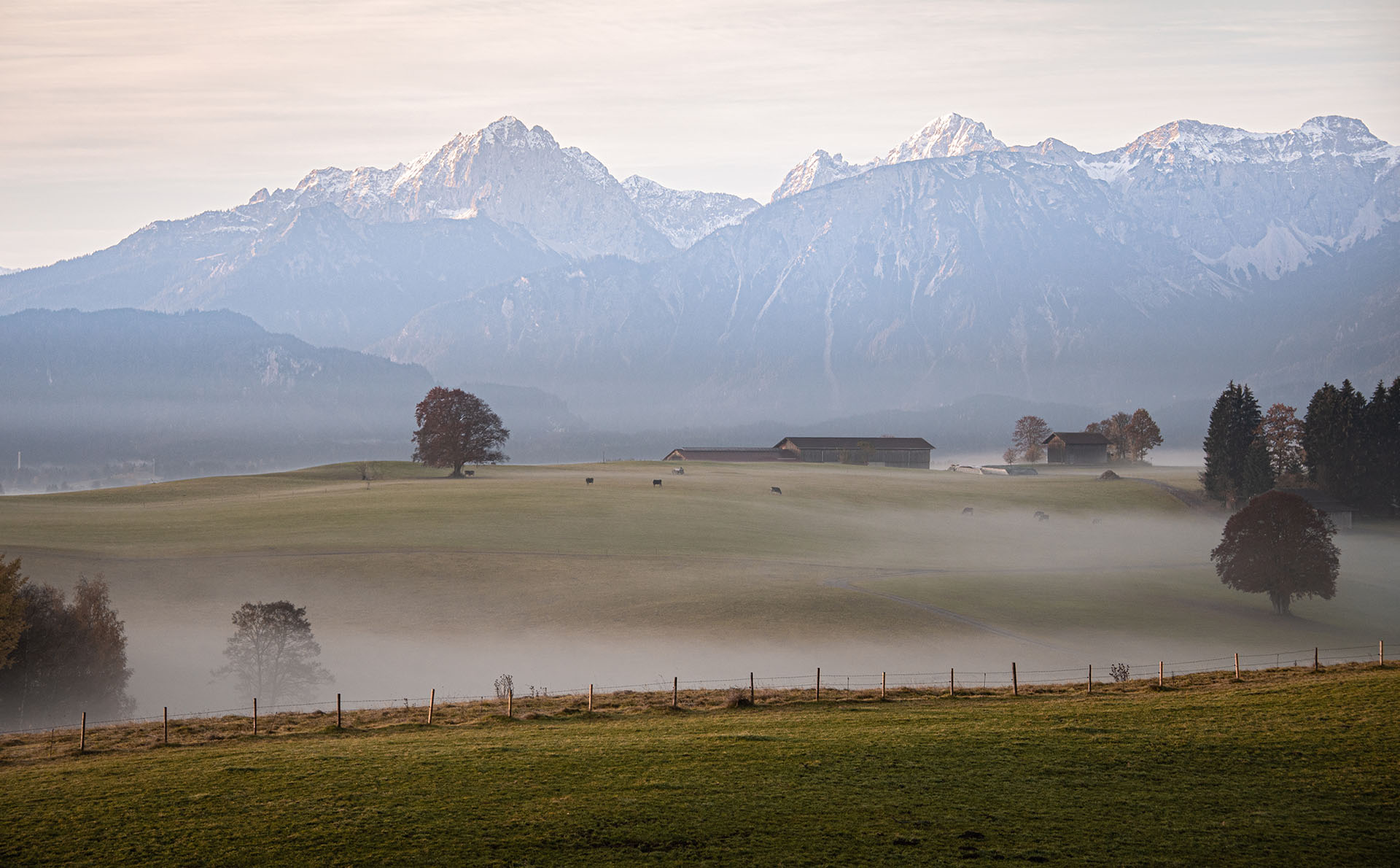 Nebelige Allgäuer Landschaft bei Rosshaupten mit Bergen
