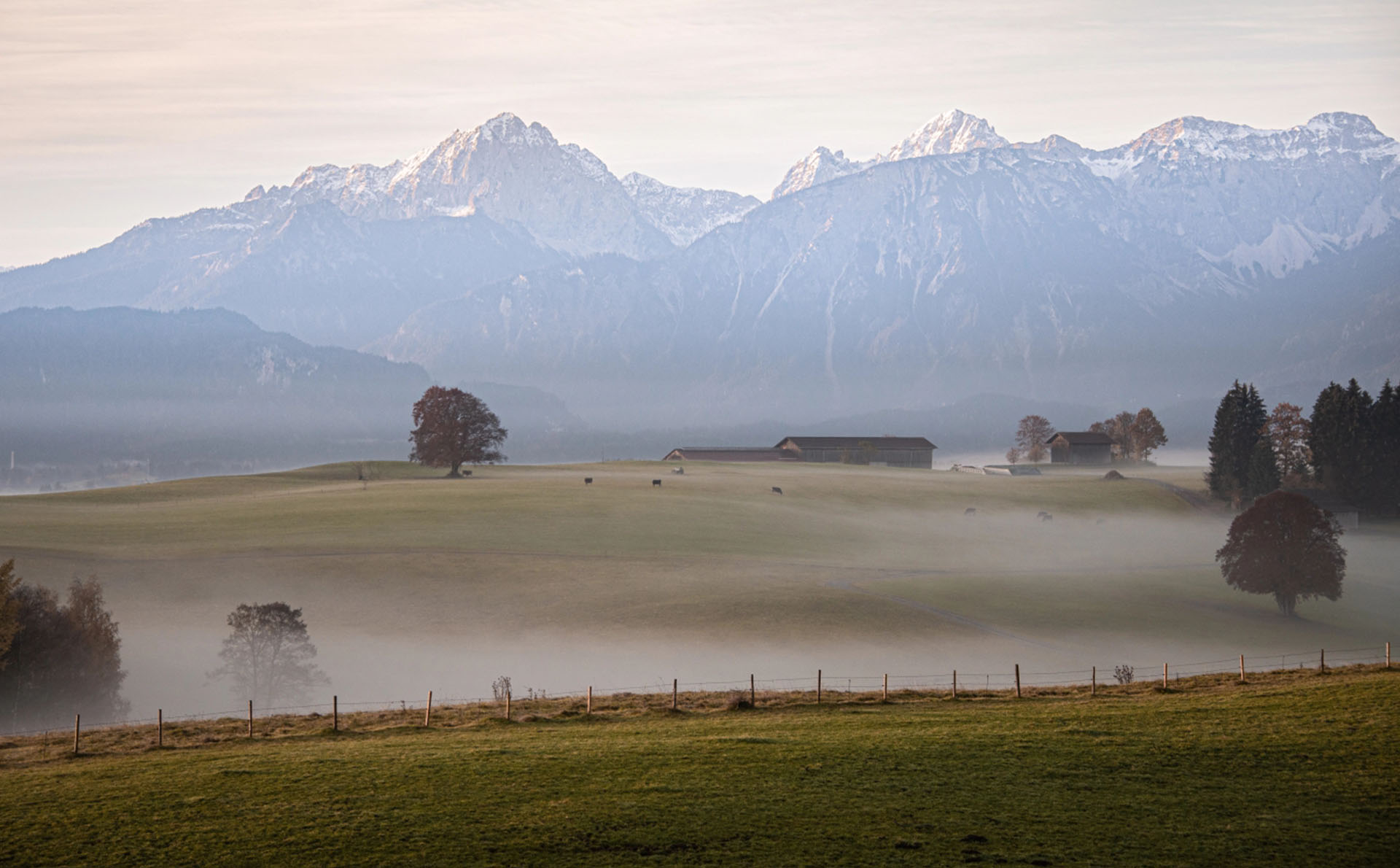 Allgäuer Landschaft mit Nebel und Bergpanorama am Morgen