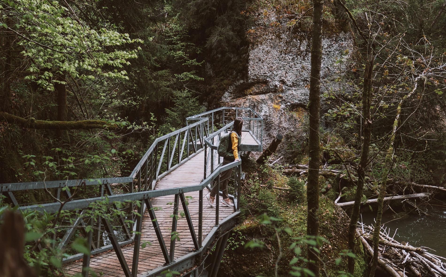 Wandersteg durch die Schlucht des Eistobels bei Maierhöfen im Allgäu
