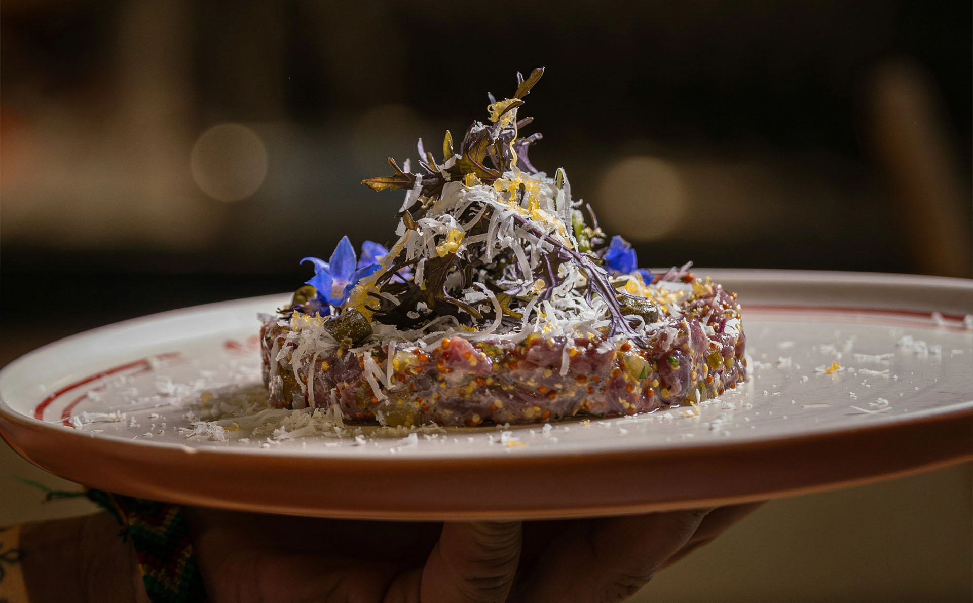 Fein angerichtetes Tatar mit Kräutern und Blüten im Restaurant