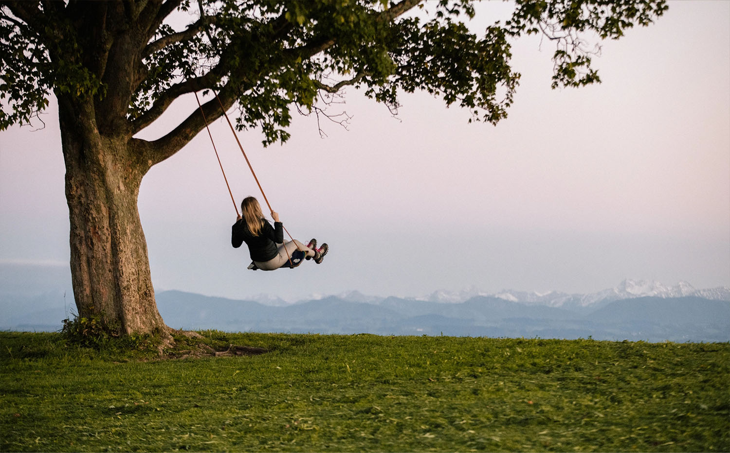 Person schaukelt unter Baum mit Blick auf Allgäuer Alpen