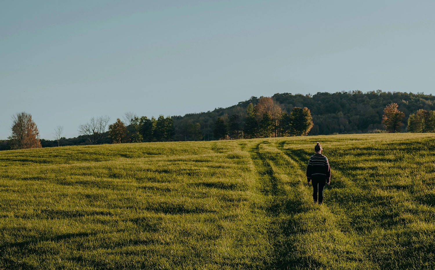 Person spaziert über Wiese in Allgäuer Landschaft