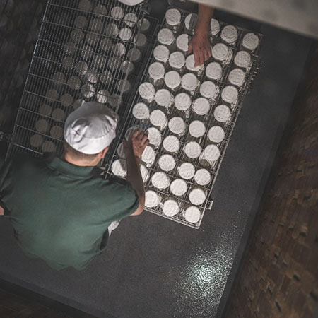 Käseherstellung mit frischen Laiben in einer Käserei