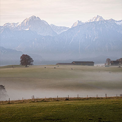 Allgäuer Landschaft mit Wiesen, Nebel und Alpenpanorama