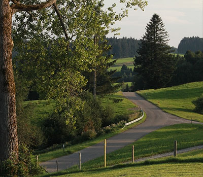 Straße durch die hügelige Allgäuer Landschaft