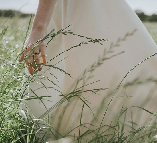 Hand streift durch Gräser auf einer Wiese