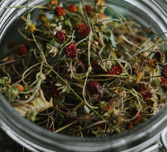 Getrocknete Wildkräuter in einem Glasgefäß