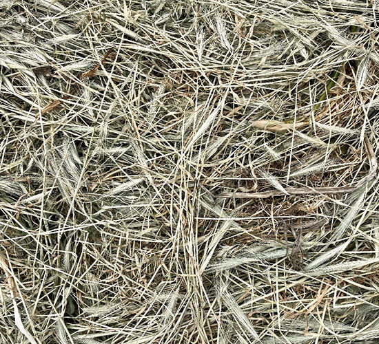 Heu als Naturmaterial im Wellnessbereich