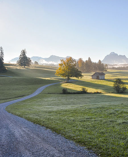 Morgenstimmung mit Weg und Wiesen in der Allgäuer Landschaft