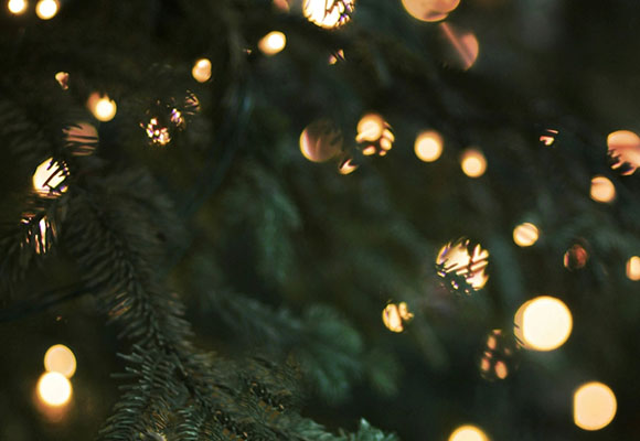 Lichterkette mit warmem Bokeh an einem Tannenzweig