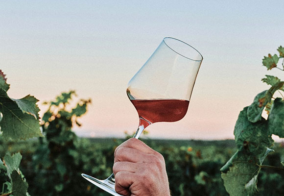 Hand hält ein Weinglas in einem Weinberg bei Sonnenuntergang
