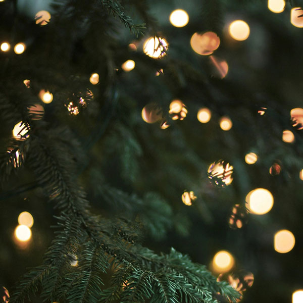 Lichterkette an einem Tannenzweig mit warmem Bokeh-Effekt