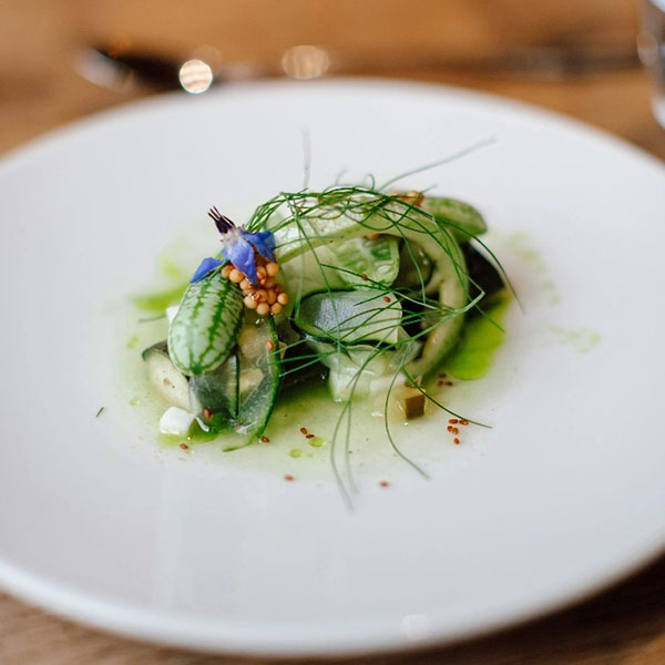 Frische Gourmet-Vorspeise mit Gurke und Kräutern